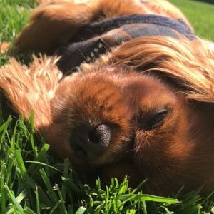 Meet your Posher, Quinn